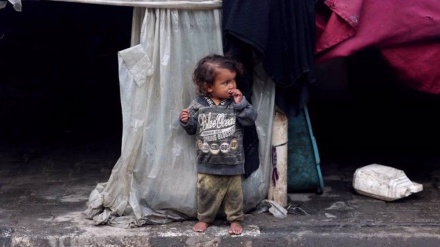 PBU: Fëmijët e Gazës shkojnë për të fjetur të uritur, ata 