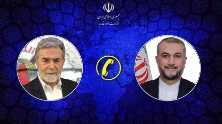  تاکید وزیر امور خارجه ایران بر ضرورت اقدام فوری برای توقف جنایات صهیونیستها در غزه 