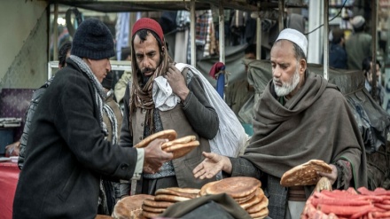 کمک پنج میلیون یورویی برای کمک به امنیت غذایی در افغانستان
