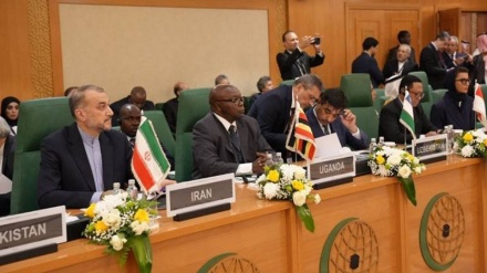 Amir Abdollahian: Qeveritë islame nuk duhet të kënaqen vetëm me deklaratat politike për Palestinën