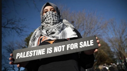 Конфликт между сторонниками Палестины и сионистского режима в Торонто