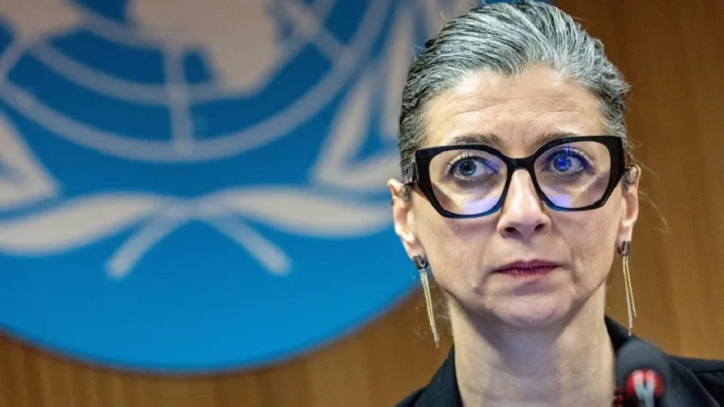 «فرانچسکا آلبانیز» گزارشگر ویژه سازمان ملل متحد در امور فلسطین