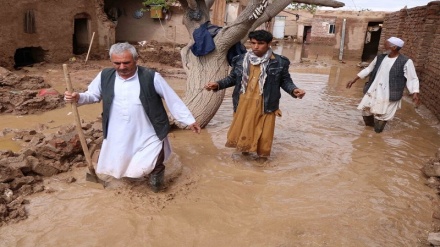 خسارات سنگین ناشی از بارندگی های اخیر در افغانستان 