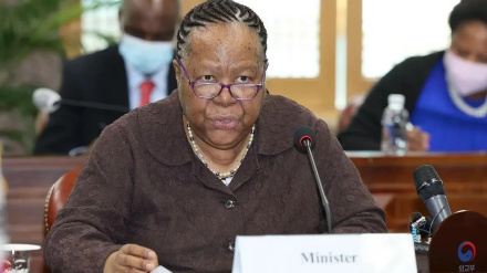 Министр иностранных дел ЮАР: Граждане Африки, участвующие в войне против Газы, будут арестованы