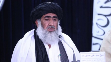 وزارت امر به معروف طالبان از تصویب «قانون سمع شکایات» خبر داد