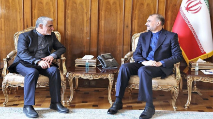 אמיר עבדולהיאן קיבל את השגריר האיראני באו