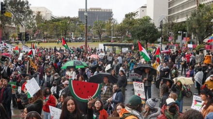 Пропалестинская демонстрация в Лос-Анджелесе
