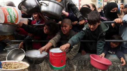 Al Mayadeen. Գազայի հատվածում սովից մահացածների թիվը հասել է 20-ի