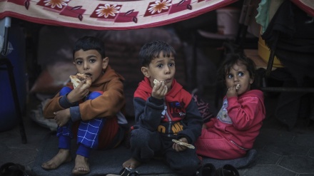 Kriza e urisë dhe skamjes në Gaza/Foto