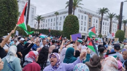 Աշխարհի տարբեր երկրների բնակիչներ ցույցեր են անցկացնում ի պաշտպանություն Պաղեստինի և Գազայի հատվածի ճնշված ժողովրդի