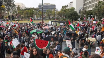 Գազայի հատվածում պատերազմի դեմ բողոքի զանգվածային երթեր են անցկացվել ԱՄՆ խոշոր քաղաքներում