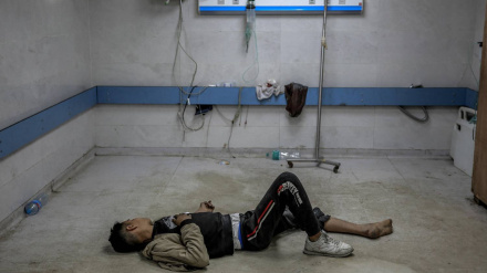 Martirizohen më shumë se 100 persona në spitalin Shafa në Gaza