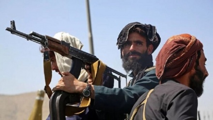  ادعای طالبان مبنی بر مبارزه با تروریسم پوچ است