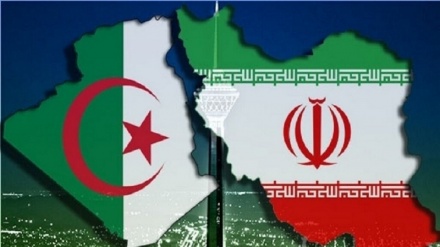 İran ve Cezayir arasında bilgi tabanlı şirketler alanında işbirliğinin geliştirilmesi
