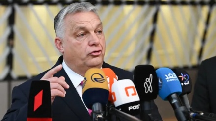 Решительная поддержка Трампа премьер-министром Венгрии