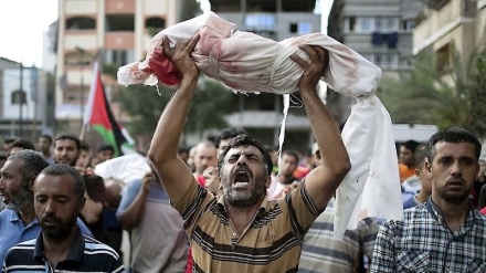 مجاهد: حمله صهیونیست‌ها به رفح کشتار جمعی مسلمانان فلسطینی است