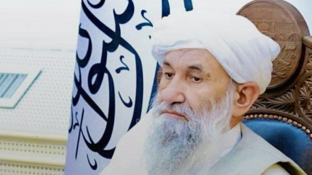 ملاحسن آخند: در روزهای عید به یاد برادران محصور خود در فلسطین باشیم