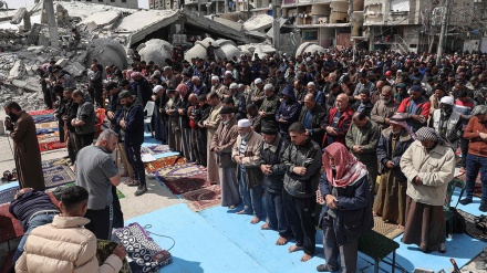 Ceremonia e namazit të së premtës të palestinezëve në mesin e shkatërrimeve në Rafah/Foto