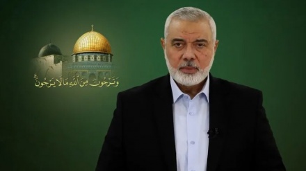 הנייה: לא מקבלים הסכם שלא מסיים את המלחמה או מגרש את האויב מעזה