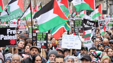 Աշխարհի տարբեր երկրներում բոողքի ցույցեր են՝ Գազայում Իսրայելի իրականացրած ցեղասպանության դեմ 