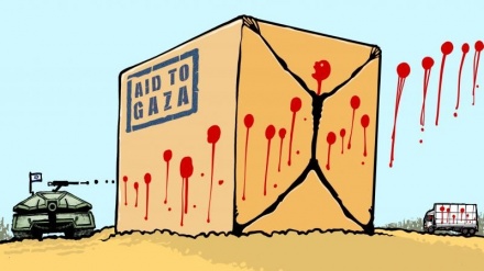 (VIGNETTE) Strage alla distribuzione degli aiuti a Gaza