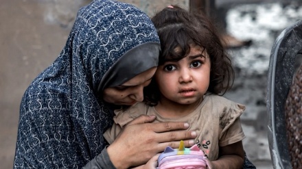 UNICEF: Number of malnourished children in Northern Gaza doubled