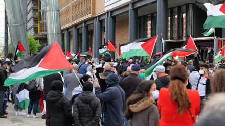 מחאה נגד ישראל מול בניין הפדרציה היהודית במונטריאול