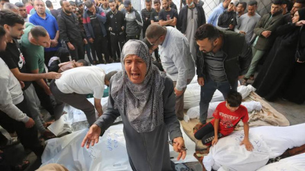 Martirizohen 11 palestinezë në bombardimin e Gazës
