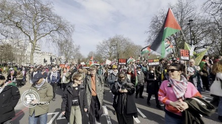 Londra'da Filistin destekçilerinin gösterisi
