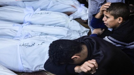 شهادت ده ها فلسطینی دیگر در باریکه غزه در حملات نظامیان رژیم صهیونیستی 