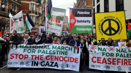 В ряде европейских стран вновь прошли демонстрации в поддержку Палестины