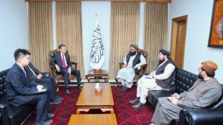 طالبان تقویت روابط با چین را خواستار شد