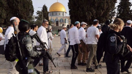 Kolonët izraelitë hyjnë në Xhaminë Al-Aksa për të kremtuar festën hebraike