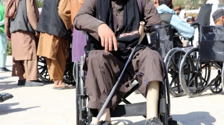 معلولین ولایت هرات خواستار ایجاد فرصت های شغلی شدند