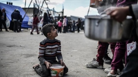 سازمان ملل: نیمی از جمعیت غزه از گرسنگی رو به مرگ هستند