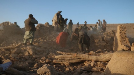 حدود  ۲۵  هزار خانواده زلزله زده هراتی هنوز بی سرپناهند