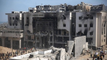 世卫组织： 加沙城西部的希法医院局势极其糟糕