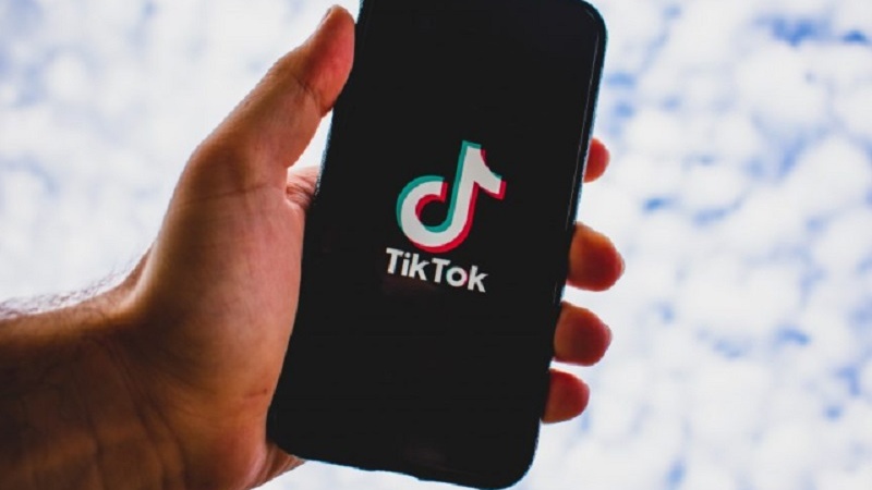 ՀՌՀ  նախագահն առաջարկում է սահմանափակել TikTok-ի հասանելիությունը Հայաստանում