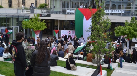 Демонстрация французских студентов в поддержку палестинского народа