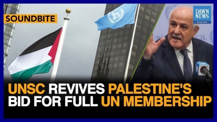 Marekani inawashinikiza kwa siri wanachama wa UNSC wapinge Palestina kuwa mwanachama kamili wa UN