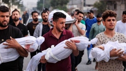 Разоблачение роли британского правительства в убийствах палестинцев в Газе