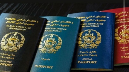 طالبان: بیش از 26 هزار جلد پاسپورت در پکتیا توزیع شده است