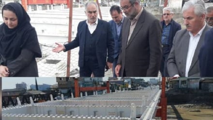 Əsalımi pardiku Qiloni ostandari muavii vindemon