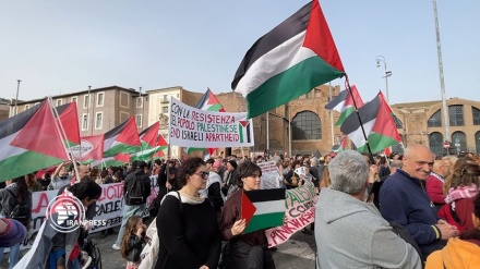 Демонстрации в разных странах мира в поддержку угнетенного народа Палестины и сектора Газа