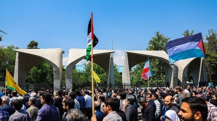 Собрание иранских ученых в поддержку пропалестинского студенческого восстания в Америке и Европе