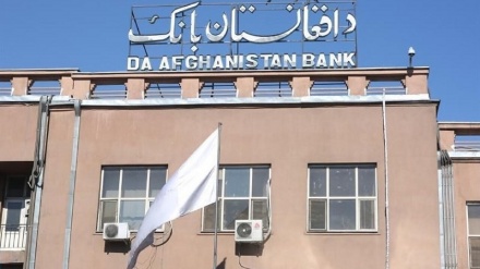 عرضه ۱۸ میلیون دلار توسط بانک مرکزی افغانستان به بازار