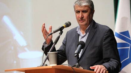 AEOI-Chef: Iran will mehr Atomkraftwerke bauen und mehr Strom erzeugen