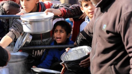 联合国：加沙半数居民面临饥荒威胁