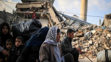 WHO Serukan Israel Hentikan Serangan ke Gaza