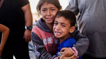Jumlah Syuhada Anak-Anak di Gaza Hampir 14 Ribu Orang